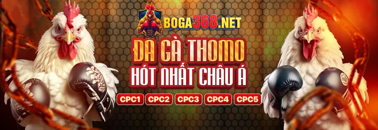Video giới thiệu đá gà trực tuyến tại big79 link vào