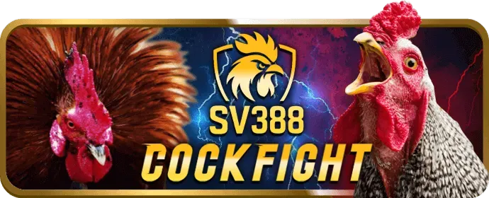 Sự kiện giải đấu big79